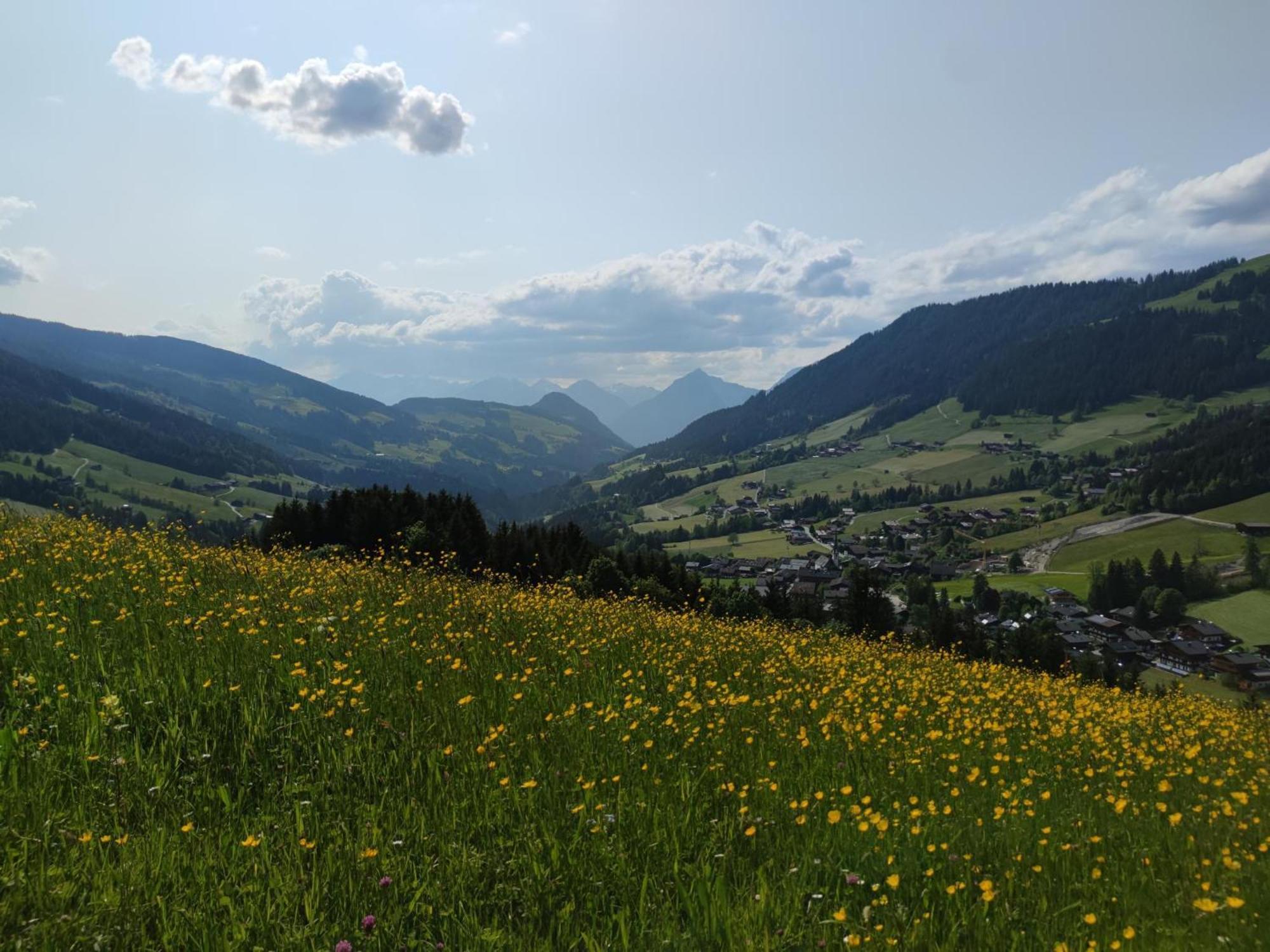 Chalet Mountain View Alpbach Eksteriør billede