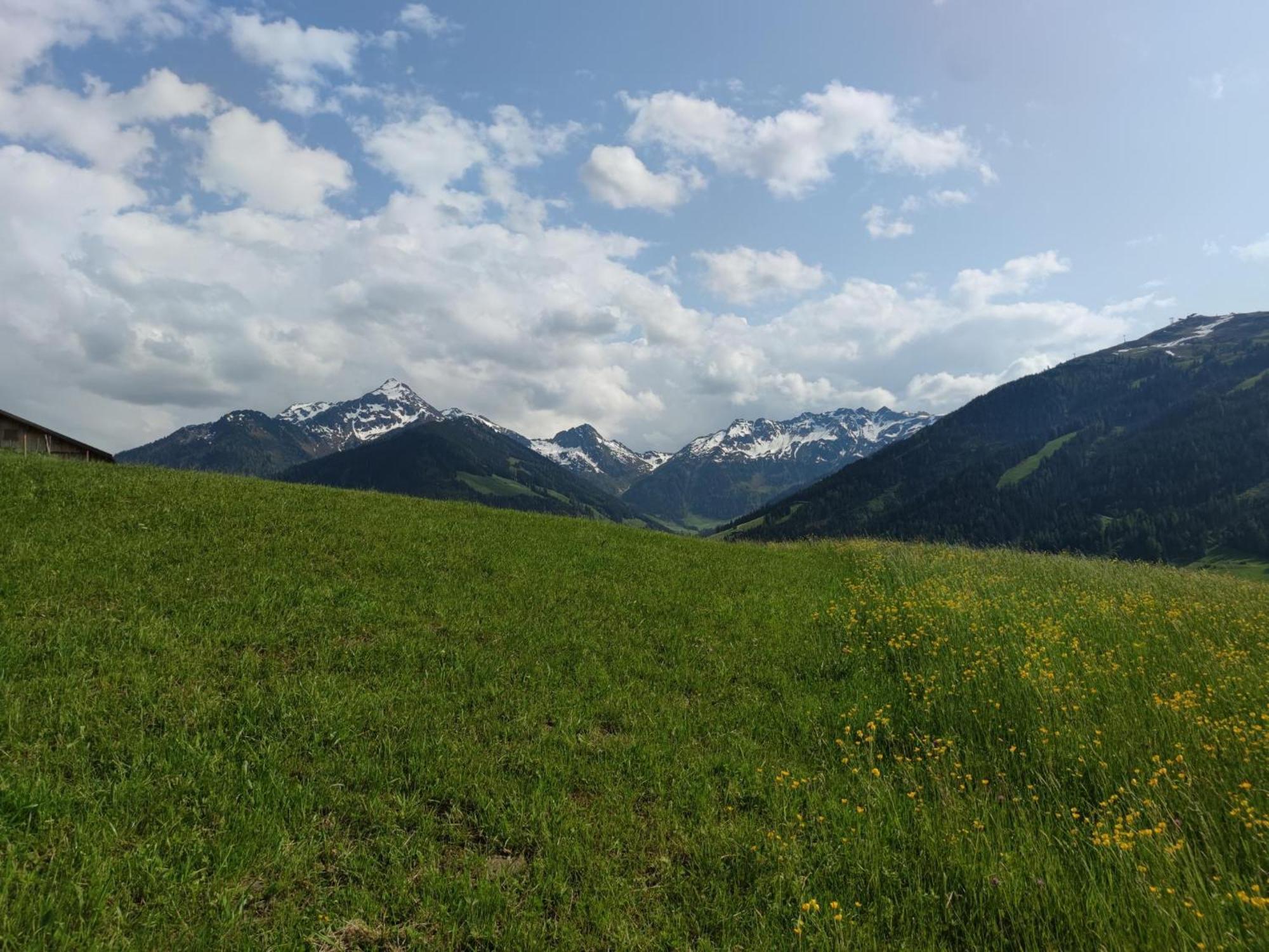 Chalet Mountain View Alpbach Eksteriør billede