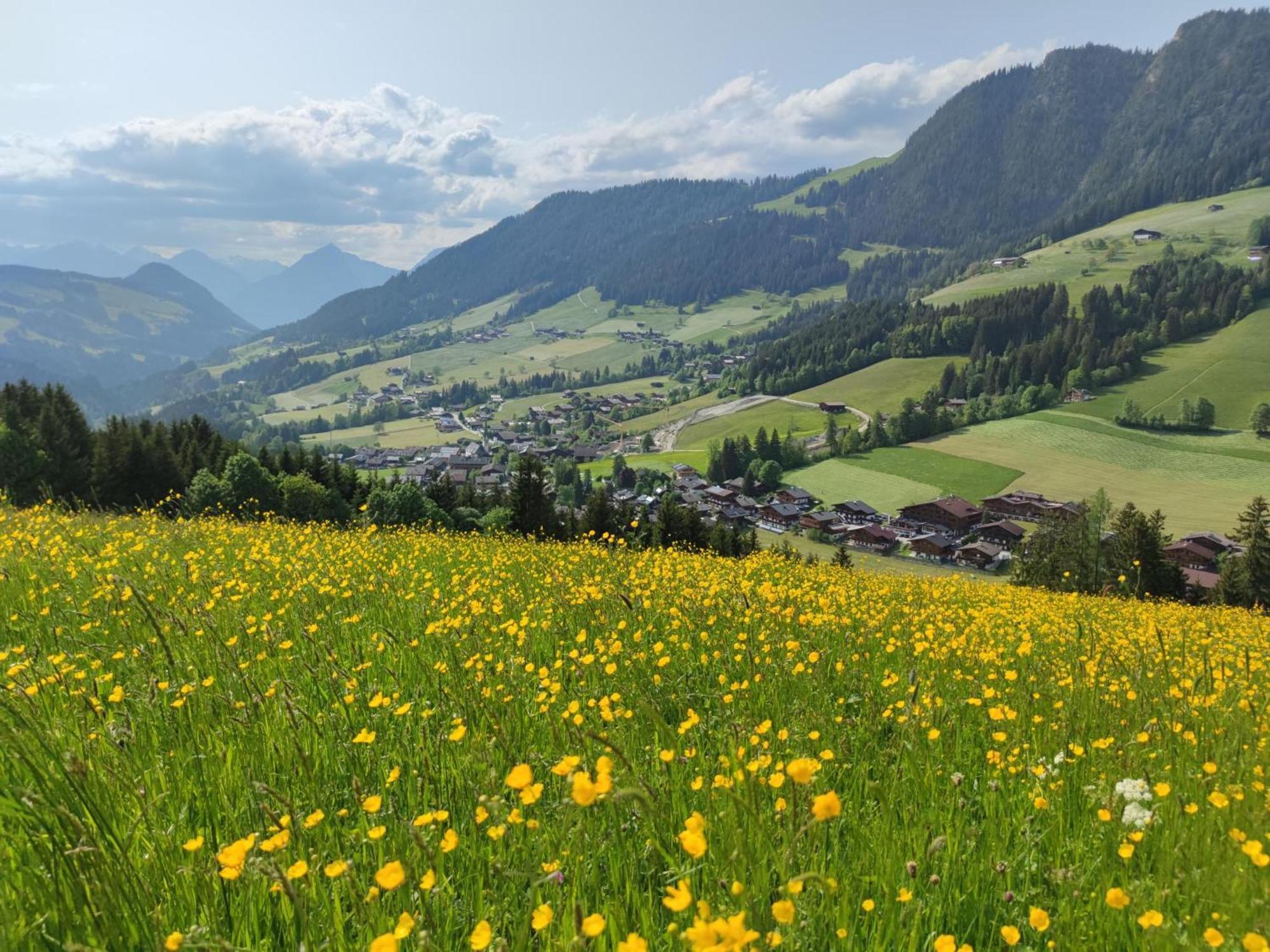Chalet Mountain View Alpbach Eksteriør billede